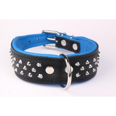 ZOOLESZCZ Ошейник для собак "Studs", черно-голубой